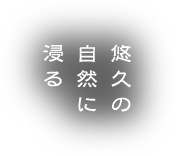 悠久の自然に浸る
