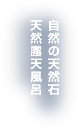 緑と調和する和モダンの空間
