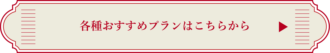 各種おすすめプランはこちらから